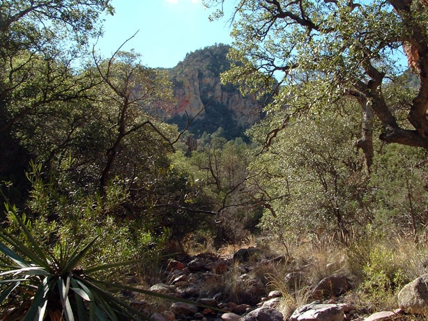 The Land Of Good Oaks Another Defense Of The Basque Origin Of The Name Arizona